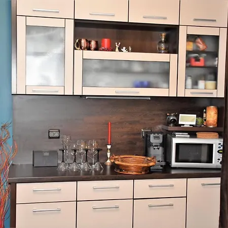 Apartament Robi *